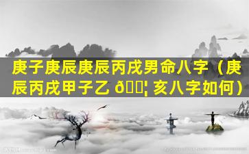 庚子庚辰庚辰丙戌男命八字（庚辰丙戌甲子乙 🐦 亥八字如何）